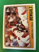 1988 Topps Base Set #339 Cincinnati Bengals