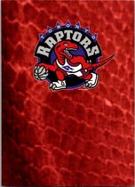 1994 NBA Hoops Hoops #418 Toronto Raptors