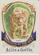 2016 Topps Allen & Ginter Mascots in the Wild #MIW-2 Tiger