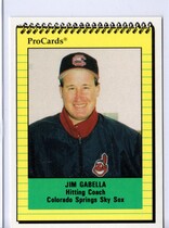 1991 ProCards Colorado Springs Sky Sox #2202 Jim Gabella