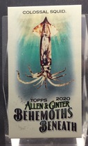 2020 Topps Allen & Ginter Mini Behemoths Beneath #MGB-1 Colossal Squid