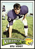 1975 Topps Base Set #113 Stu Voigt