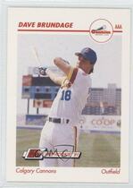 1991 Line Drive AAA #53 Dave Brundage