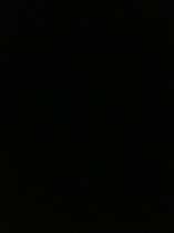 2001 Bowman Base Set #245 Brett Evert