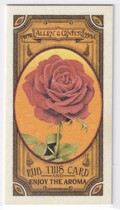 2024 Topps Allen & Ginter Mini Got the Itch #GTI-12 Rose