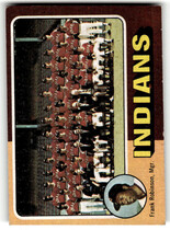 1975 Topps Base Set #331 Frank Robinson