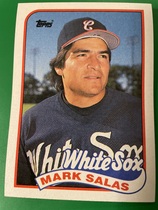 1989 Topps Base Set #384 Mark Salas