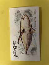 2025 Topps Allen & Ginter Mini 50 Fish from Global Waters #FGW-4 Yellowfin Tuna