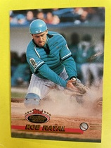 1993 Stadium Club Base Set #737 Rob Natal