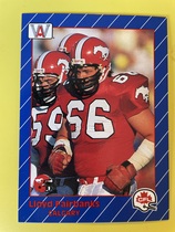 1991 All World CFL #22 Lloyd Fairbanks