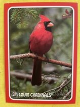 2024 Topps Heritage 1975 Topps Zoos Who Stick-Ons Red #75Z-4 St. Louis Cardinals