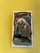 2024 Topps Allen & Ginter Mini Swamp Creatures #SC-2 West Indian Manatee