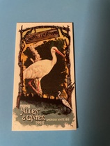 2024 Topps Allen & Ginter Mini Swamp Creatures #SC-4 American White Ibis