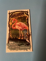 2024 Topps Allen & Ginter Mini Swamp Creatures #SC-6 American Flamingo