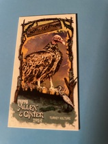 2024 Topps Allen & Ginter Mini Swamp Creatures #SC-15 Turkey Vulture