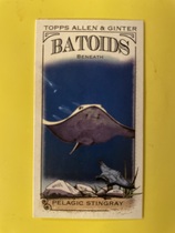 2024 Topps Allen & Ginter Mini Batoids Beneath #RITW-1 Pelagic Stingray