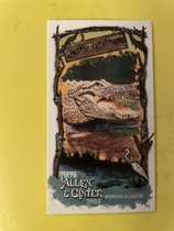 2024 Topps Allen & Ginter Mini Swamp Creatures #SC-1 American Alligator