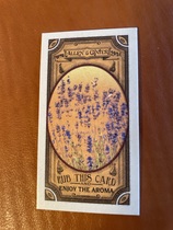 2024 Topps Allen & Ginter Mini Got the Itch #GTI-14 Lavender