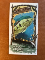 2024 Topps Allen & Ginter Mini Swamp Creatures #SC-23 Peacock Bass