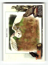 2023 Topps Allen & Ginter TALON-ted #TT-16 Barn Owl