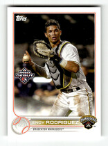 2022 Topps Pro Debut #PD-107 Endy Rodriguez