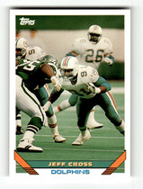 1993 Topps Base Set #389 Jeff Cross