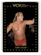 1991 Championship Marketing WCW #33 Terry Taylor