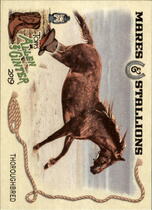 2019 Topps Allen & Ginter Mares and Stallions #MS-3 Thoroughbred Horse
