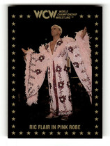 1991 Championship Marketing WCW #73 Ric Flair