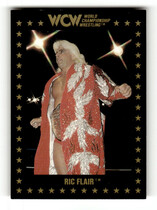 1991 Championship Marketing WCW #8 Ric Flair