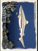 2021 Topps Allen & Ginter Deep Sea Shiver #DSS-8 Blacktip Shark