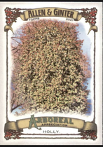 2021 Topps Allen & Ginter Arboreal Appreciation #AA-13 Holly