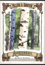 2021 Topps Allen & Ginter Arboreal Appreciation #AA-11 Black Birch