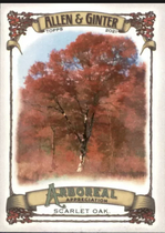 2021 Topps Allen & Ginter Arboreal Appreciation #AA-10 Scarlet Oak