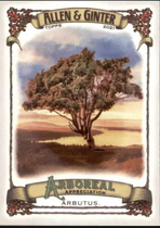 2021 Topps Allen & Ginter Arboreal Appreciation #AA-9 Arbutus