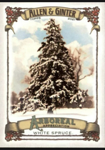 2021 Topps Allen & Ginter Arboreal Appreciation #AA-4 White Spruce