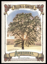 2021 Topps Allen & Ginter Arboreal Appreciation #AA-2 Sycamore