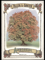 2021 Topps Allen & Ginter Arboreal Appreciation #AA-15 Beech