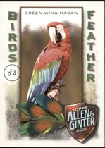 2021 Topps Allen & Ginter Birds of a Feather #BOF-8 Green-Wing Macaw