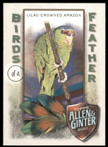 2021 Topps Allen & Ginter Birds of a Feather #BOF-5 Lilac-Crowned Amazon