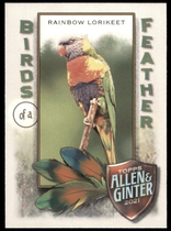 2021 Topps Allen & Ginter Birds of a Feather #BOF-10 Rainbow Lorikeet
