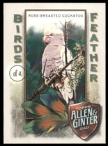 2021 Topps Allen & Ginter Birds of a Feather #BOF-7 Rose-Breasted Cockatoo
