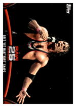 2018 Topps WWE Then Now Forever 25 Years of Raw #RAW-5 Bret Hart