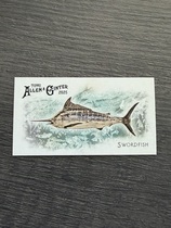 2025 Topps Allen & Ginter Mini 50 Fish from Global Waters #FGW-23 Swordfish