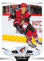 2019 Upper Deck O-Pee-Chee OPC #325 Richard Panik