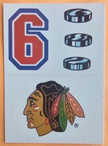1989 Topps Sticker Inserts #21 Chicago Blackhawks