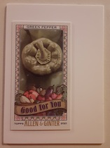 2021 Topps Allen & Ginter Mini Good for You #GFY-20 Green Pepper