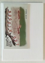 2020 Topps Allen & Ginter Mini Buggin Out #MBO-16 Fire Ant