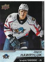 2018 Upper Deck AHL #99 Jayce Hawryluk