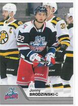 2020 Upper Deck AHL #15 Jonny Brodzinski